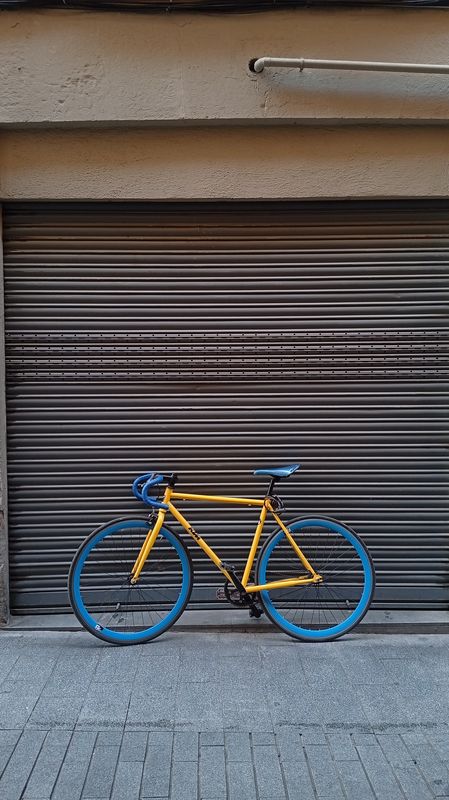 fixie