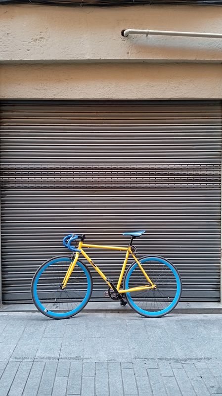 fixie