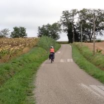 Montauban to Cahors