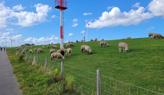 Foto 2 del percorso Bikemap "Eichstraße nach Thüringer Straße" Foto 2 del percorso Bikemap "Eichstraße nach Thüringer Straße"