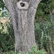 250902 Vortour zur Feierabendtour