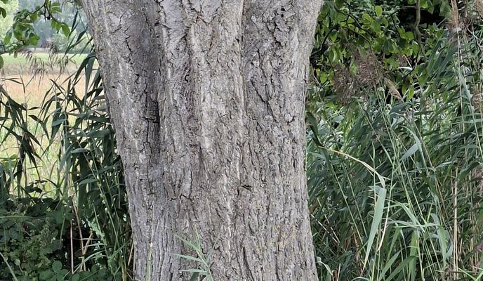 Foto 1 der Bikemap-Route "250902 Vortour zur Feierabendtour"