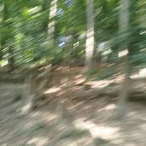 Drobného do Drobného