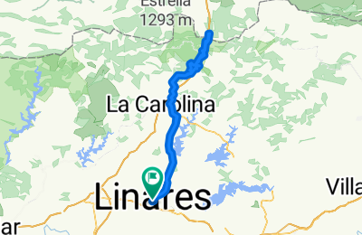 Route in der Bikemap App öffnen