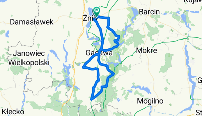 Enea Pałuki Tour