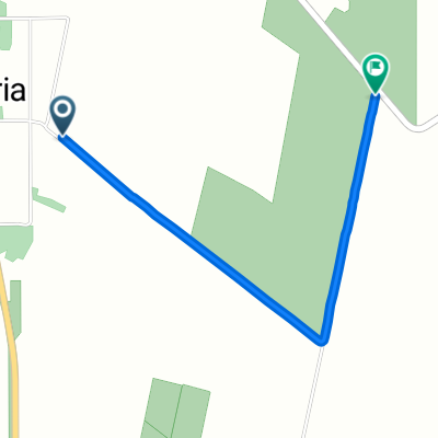 Paseo lento