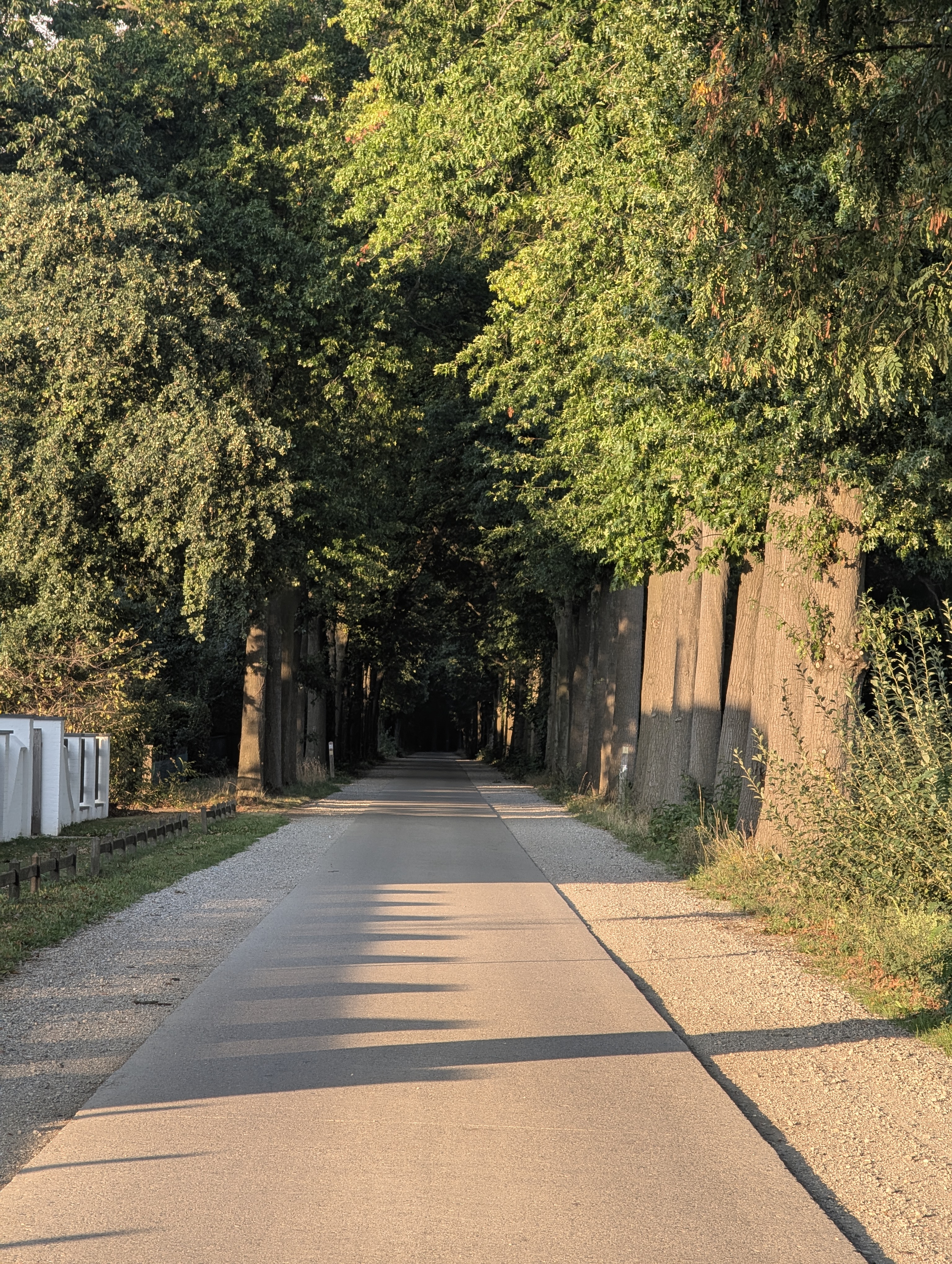Koepoortstraat to Kruisven