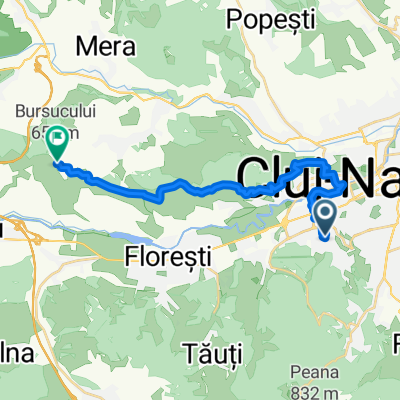 Route from Aleea Vidraru