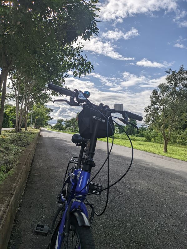 gowes
