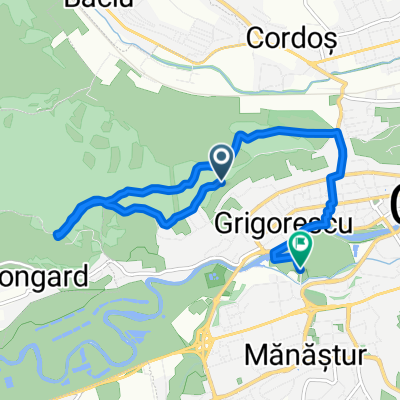 Strada Uliului to Strada Plopilor
