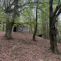 Bodajk-Szárliget, Szárliget - Bodajk-Szárliget, Szárliget