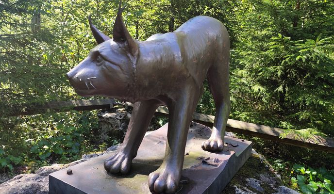 Foto 2 der Bikemap-Route "Hintergebirgsradweg R9 Reichraming"