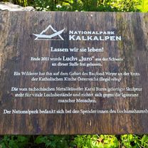 Hintergebirgsradweg R9 Reichraming