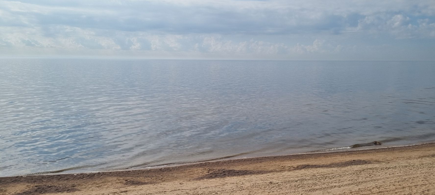 зеленогорск- спб