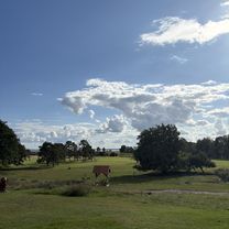 Radenkämpen, Waren (Müritz) nach Radenkämpen, Waren (Müritz)