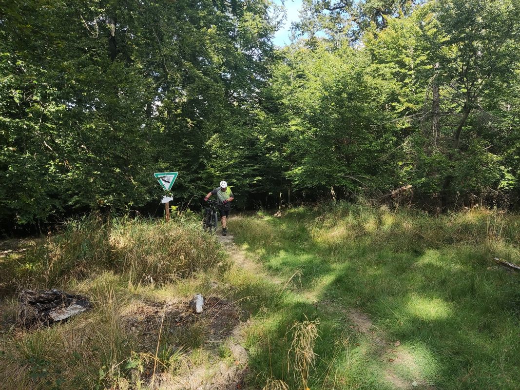 MTB-Tour, Oeventrop, Uentrop,Gut Wichel, Schreppenberg, Breitenbruch, Möhnesee, Tor Haus, Neuhaus, Kreuz-Eiche, Herfweg, Oeventrop.