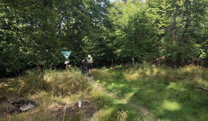 Foto 2 der Bikemap-Route "MTB-Tour, Oeventrop, Uentrop,Gut Wichel, Schreppenberg, Breitenbruch, Möhnesee, Tor Haus, Neuhaus, Kreuz-Eiche, Herfweg, Oeventrop." Foto 2 der Bikemap-Route "MTB-Tour, Oeventrop, Uentrop,Gut Wichel, Schreppenberg, Breitenbruch, Möhnesee, Tor Haus, Neuhaus, Kreuz-Eiche, Herfweg, Oeventrop."