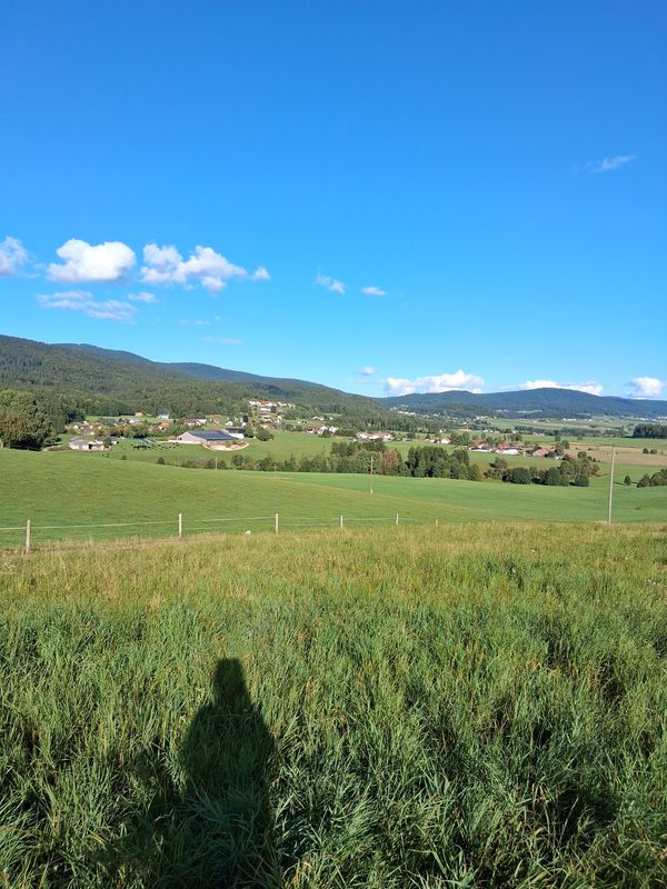 Bräuerau, Julbach, Schlag, Seitelschlag,  Hinteranger