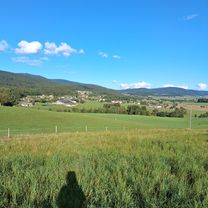 Bräuerau, Julbach, Schlag, Seitelschlag,  Hinteranger