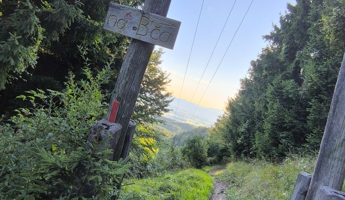 Foto 2 del percorso Bikemap "Od žičnice na krvavec"