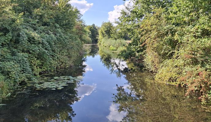 Foto 1 del percorso Bikemap "Wildenhofeck nach Wildenhofeck"