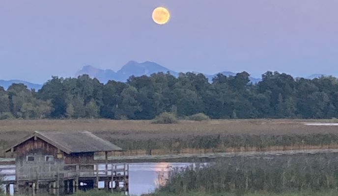Foto 1 der Bikemap-Route "Chiemsee Rundweg"