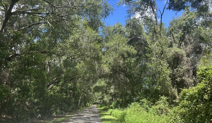 Photo 1 de l’itinéraire Bikemap « Lake Lindsey Rd, Brooksville to Withlacoochee State Trail, Citrus Springs »