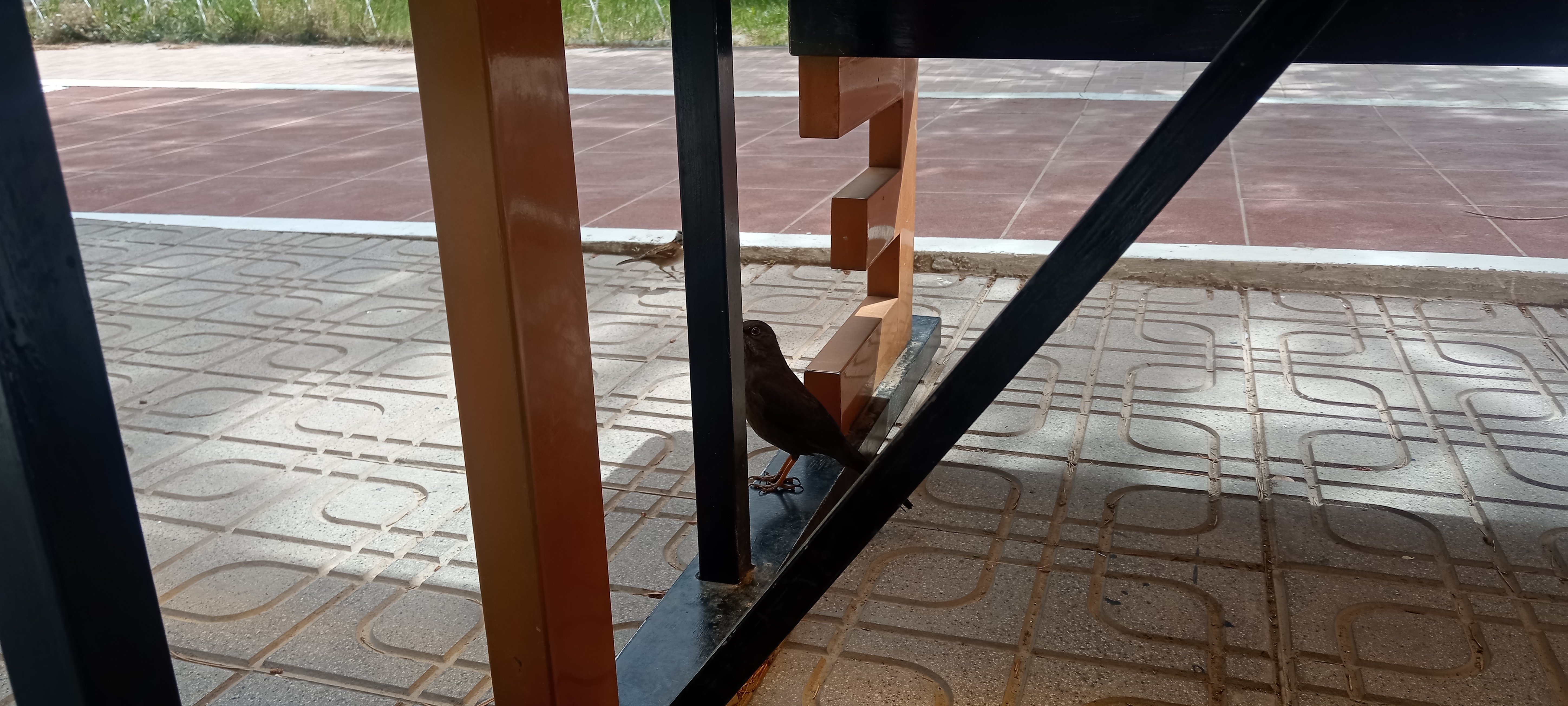ruta facultad