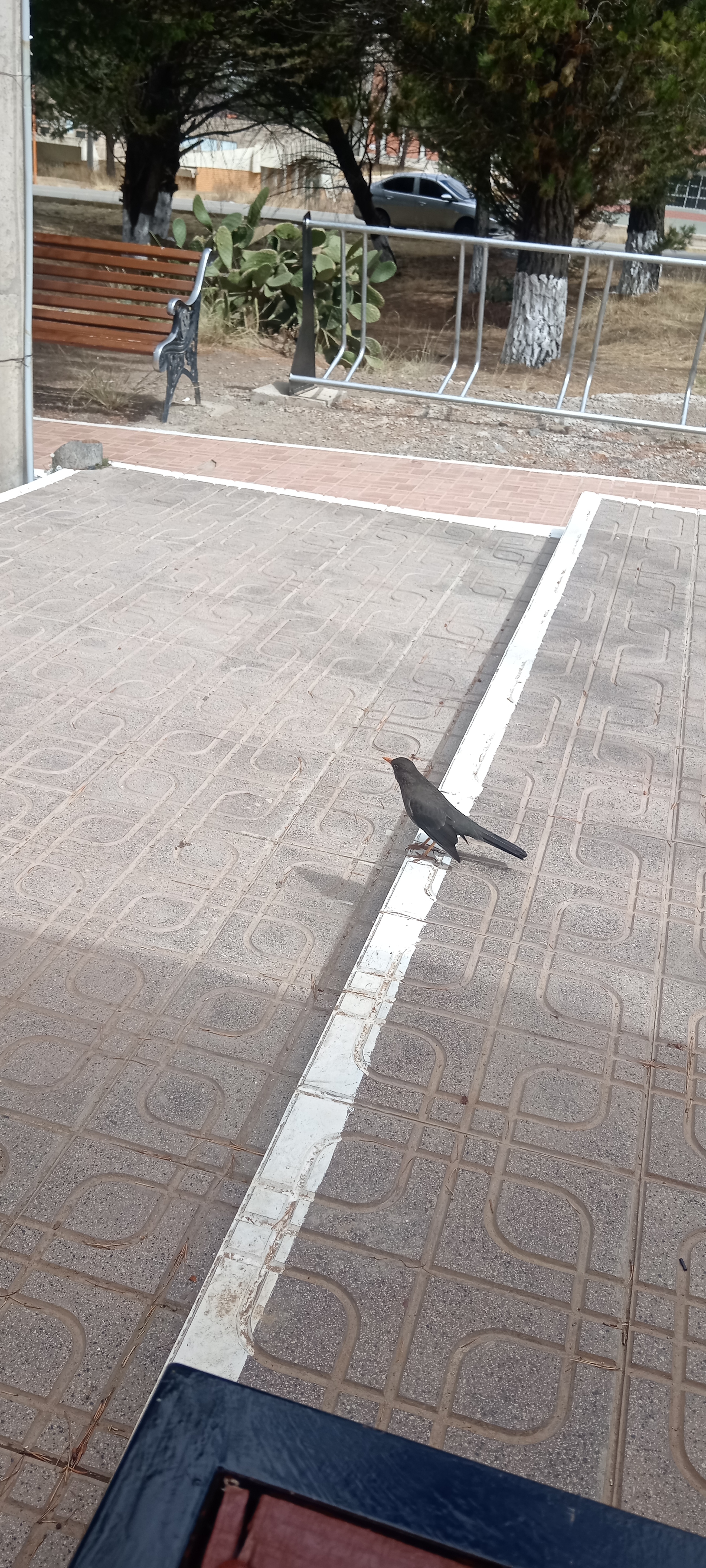 ruta facultad
