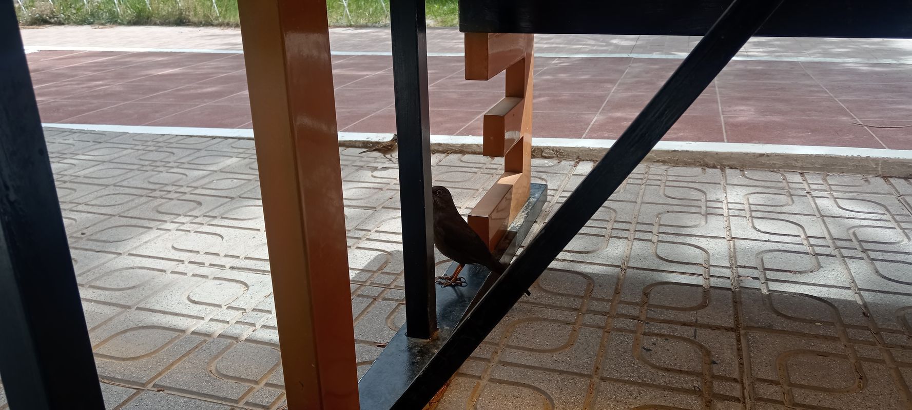 ruta facultad