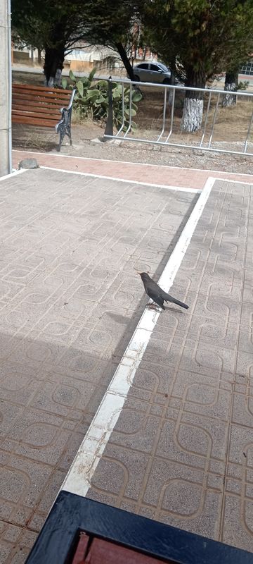 ruta facultad