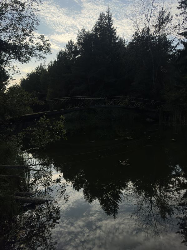 улица Рафиева, Минск до улица Рафиева, Минск