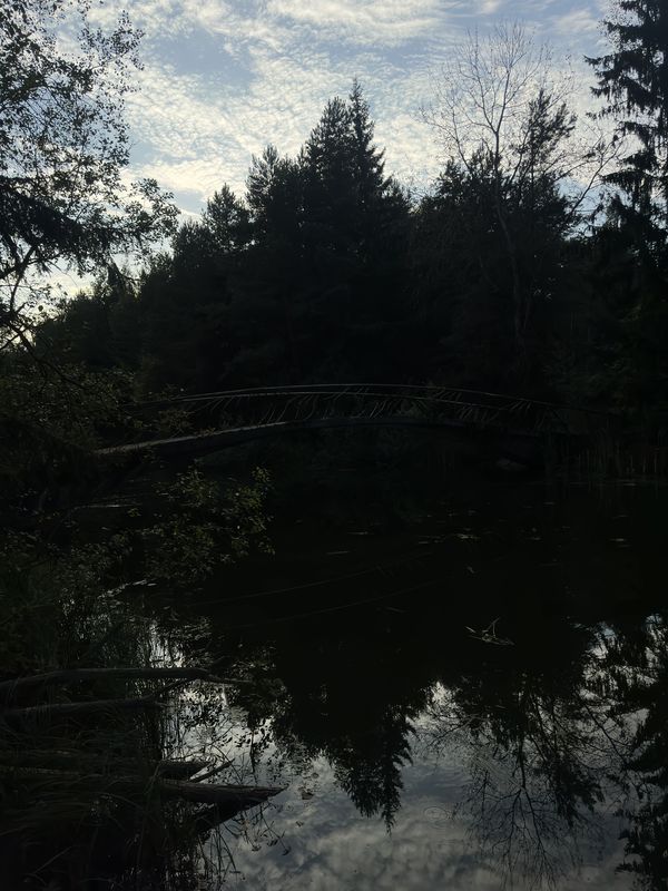 улица Рафиева, Минск до улица Рафиева, Минск