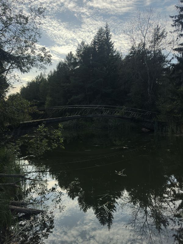 улица Рафиева, Минск до улица Рафиева, Минск