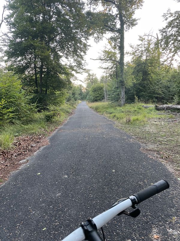 Fontainebleau et Avon Nord