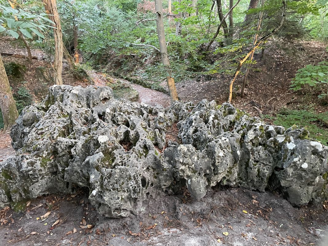 Fontainebleau et Avon Nord