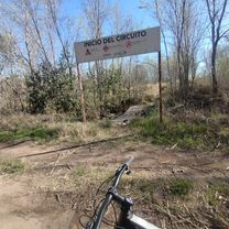 circuito hoy