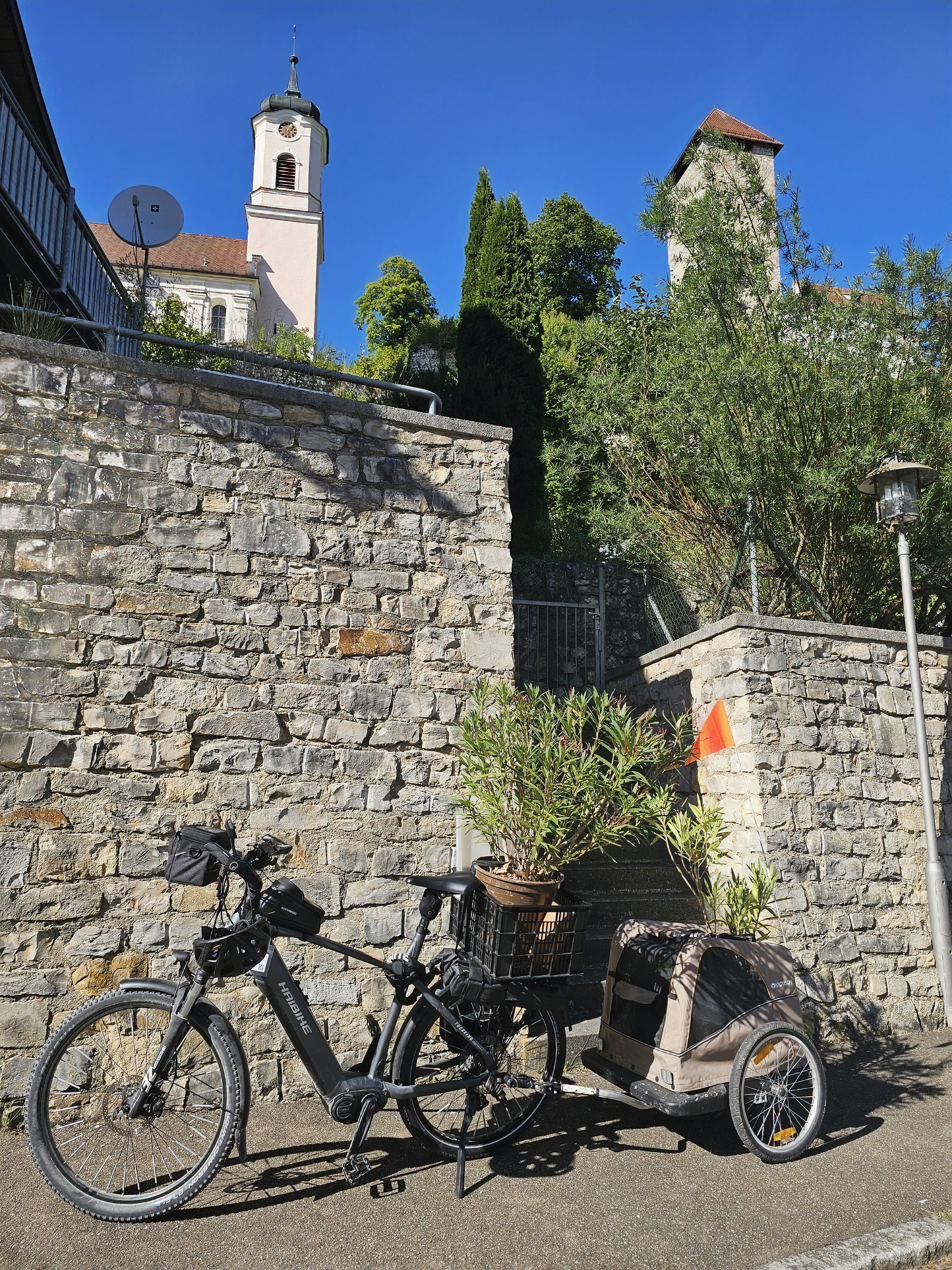 Gartenauflösung mit Oleander