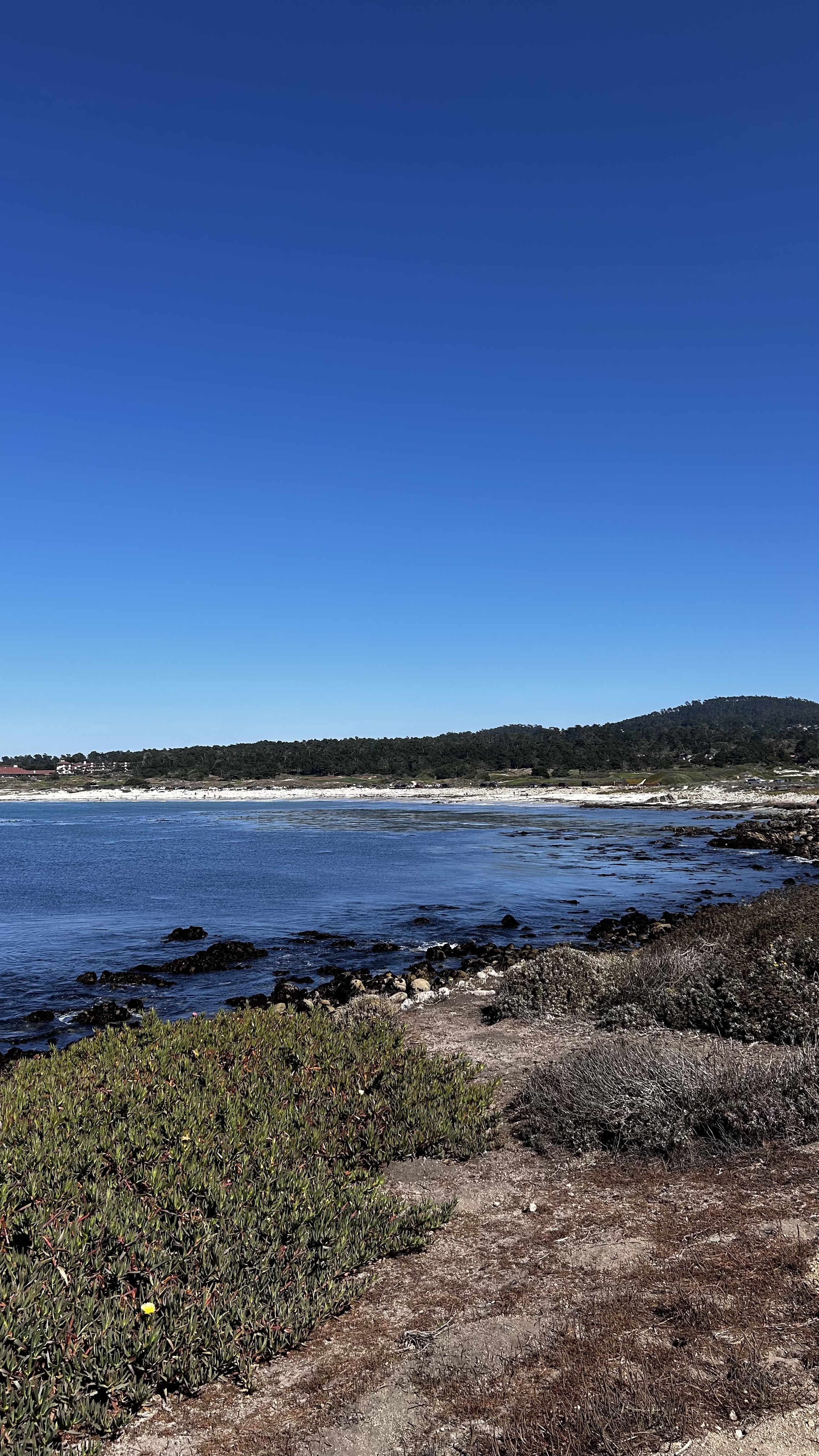 Pebble Beach to Pacific Grove Recreational Trail, Pacific Grove