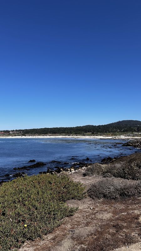 Pebble Beach to Pacific Grove Recreational Trail, Pacific Grove