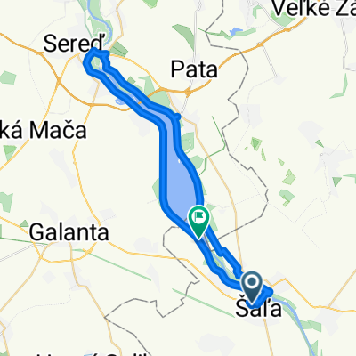 Slovenského Národného Povstania, Šaľa až Kráľová nad Váhom