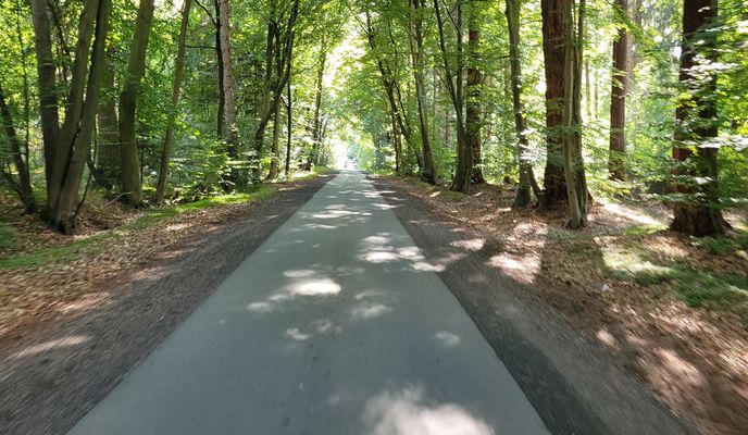 Foto 2 del percorso Bikemap "Walkmühlenstrasse BRV"