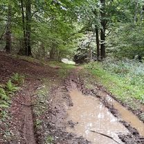 Foto 8 de la ruta de Bikemap "V lese."