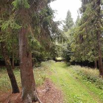 Foto 7 de la ruta de Bikemap "V lese."