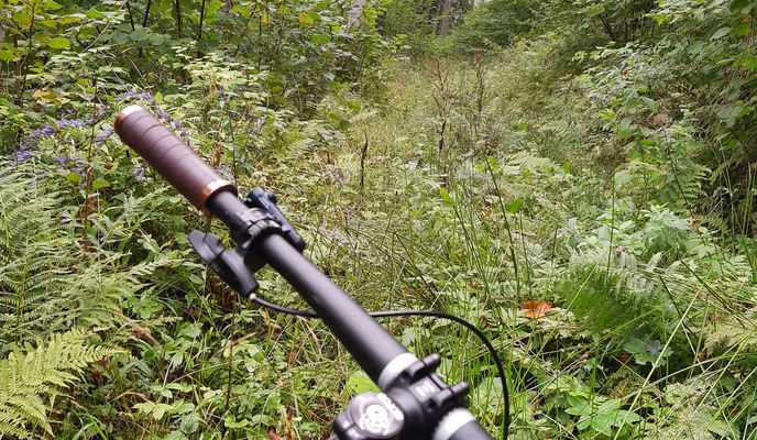 Foto 1 de la ruta de Bikemap "V lese."