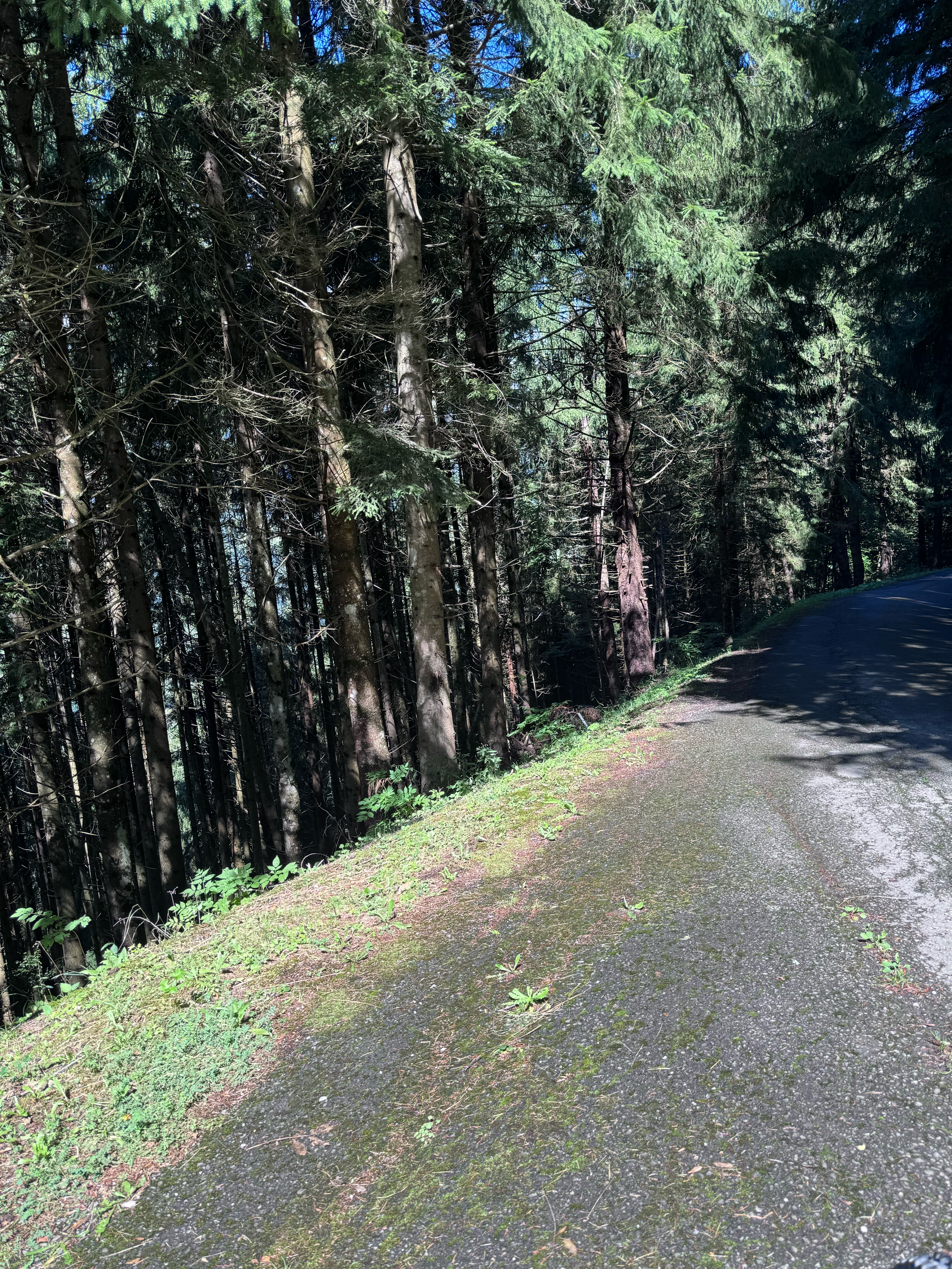 Chemin de Vai l'Otau, Troistorrents à Chemin de Vai l'Otau, Troistorrents