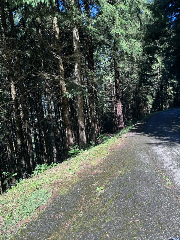 Chemin de Vai l'Otau, Troistorrents à Chemin de Vai l'Otau, Troistorrents