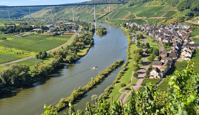 Photo 1 of the Bikemap route "Moselufer nach Moselufer"