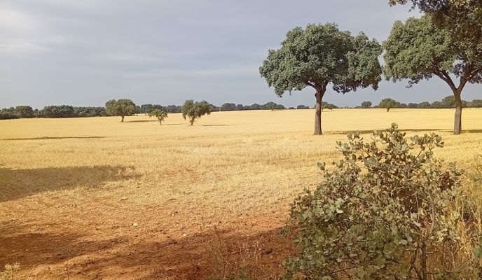 Foto 1 del percorso Bikemap "ruta ciclista 25"