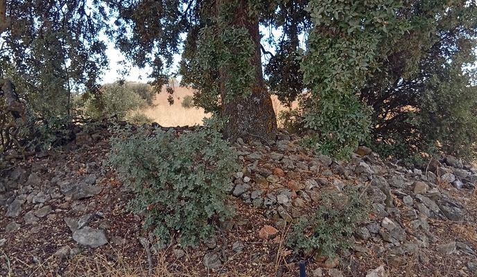 Foto 2 del percorso Bikemap "ruta ciclista 25"